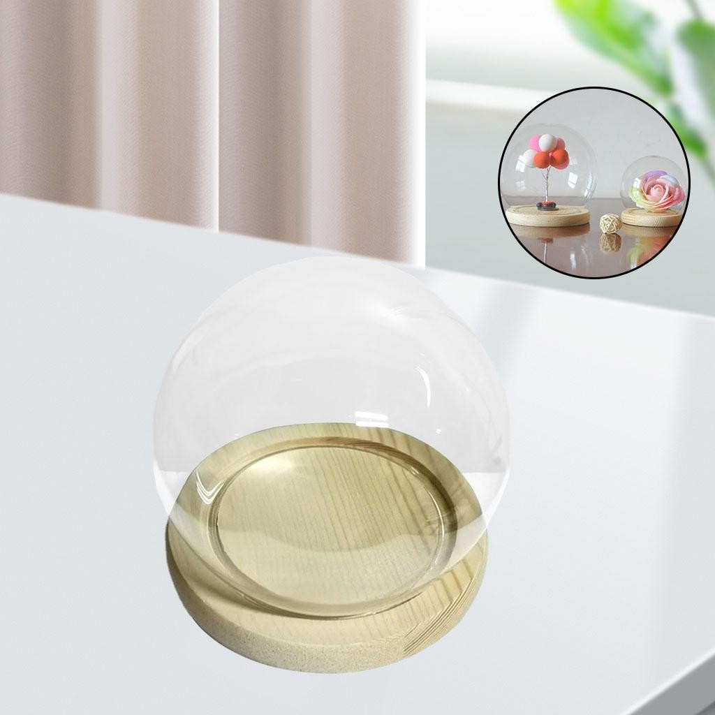Round Glass Dome Cloche Terrarium Display Case with Wood Base DIY Decoration
