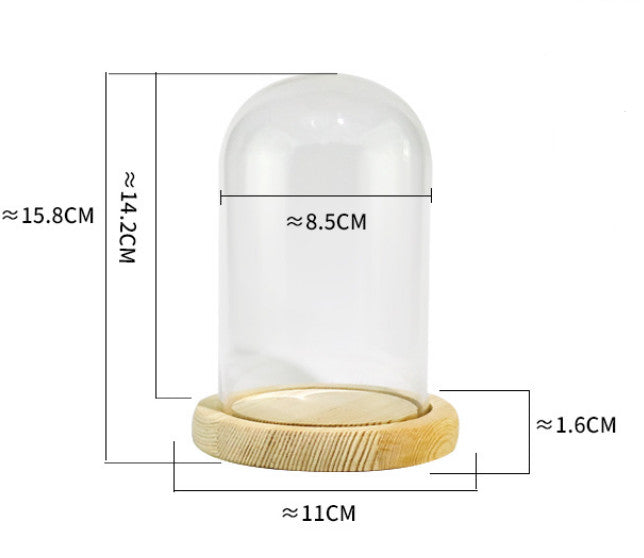 Clear Cloche Glass Dome Glass Bell Jar Display with Wooden Base