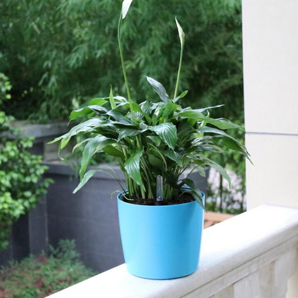 Round Self-watering Plant Flower Pot with Water Level