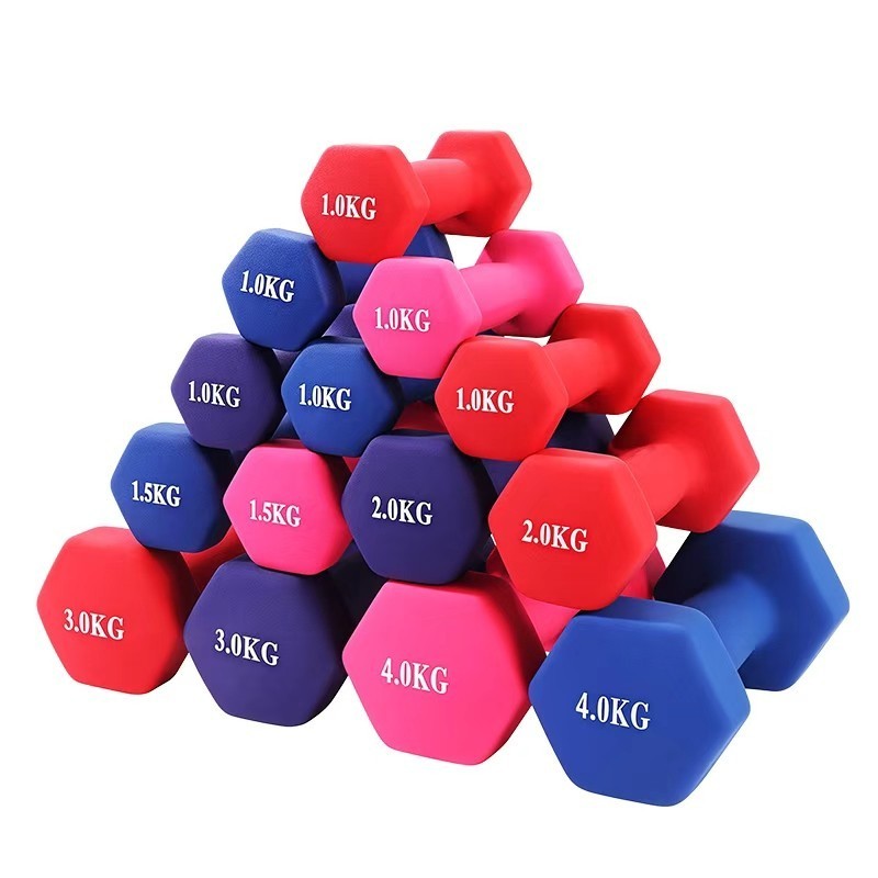 Pair 1kg 2kg 3kg Dumbbell Fitness Hand Weights Set for Women Home Gym Workout UK
