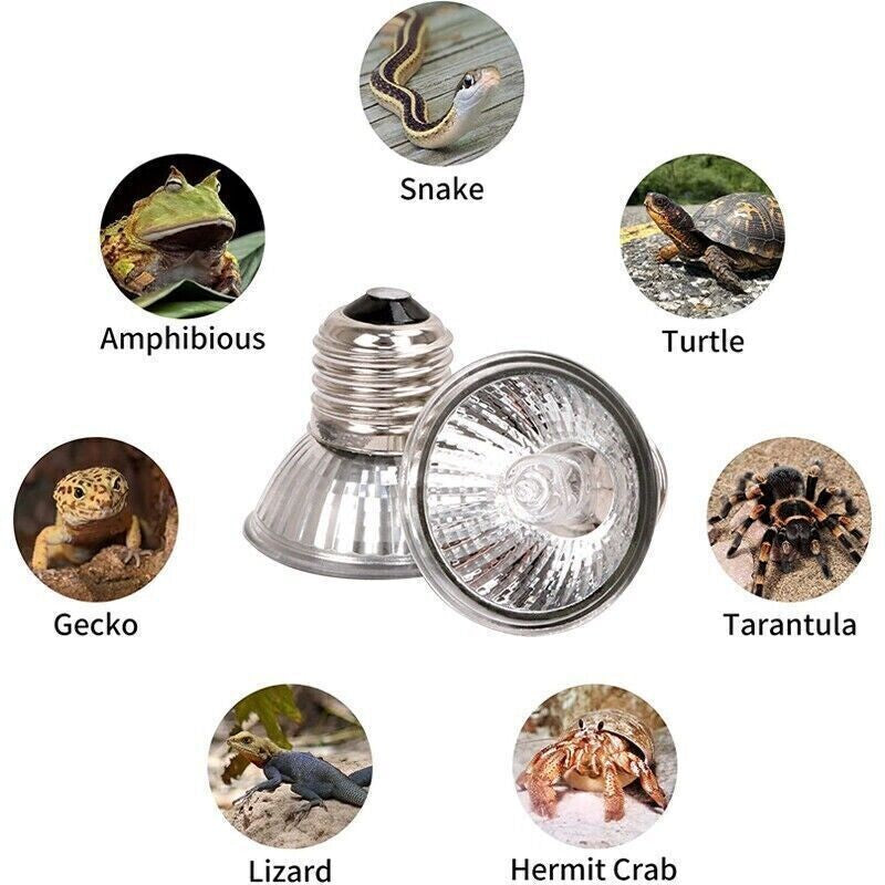 3Pcs 75W Reptile Heat Lamp Bulb UVA UVB Tortoise Turtle Calcium Supplement Light
