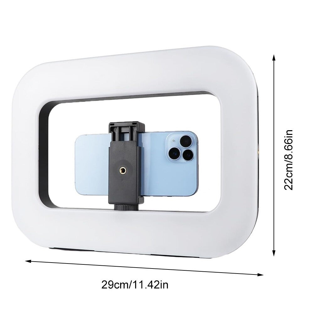 Smartphone Video Rig with Light Handheld Ring Selfie Light Kit LED Mobile Vide