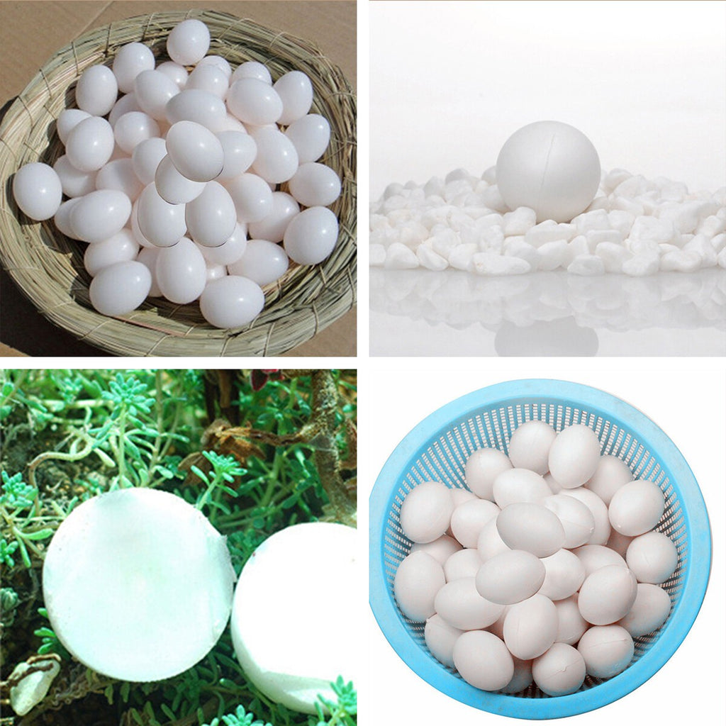10 x Plastic Eggs Dummy Fake Eggs For Racing Homing Pigeons Hatch Pigeo Solid