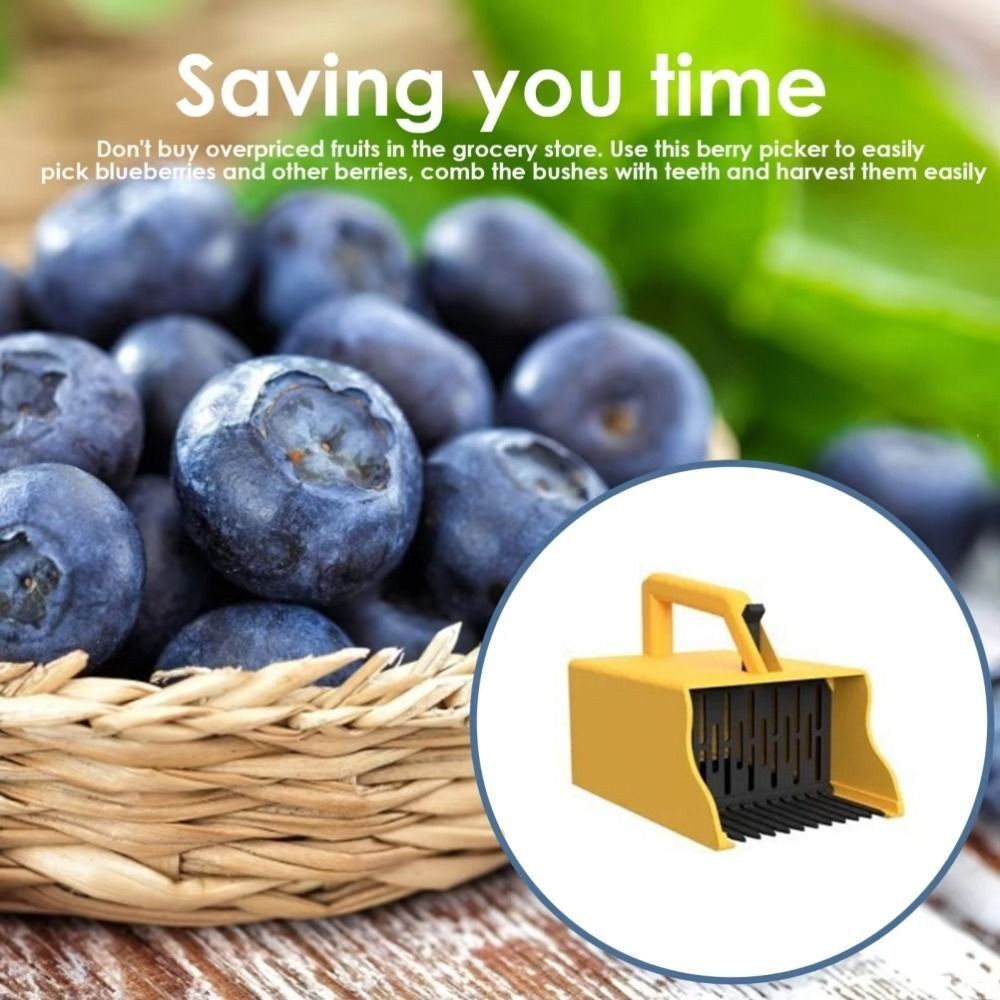 Berry Picking Blueberry Picker Compact Berry Comb  Currants