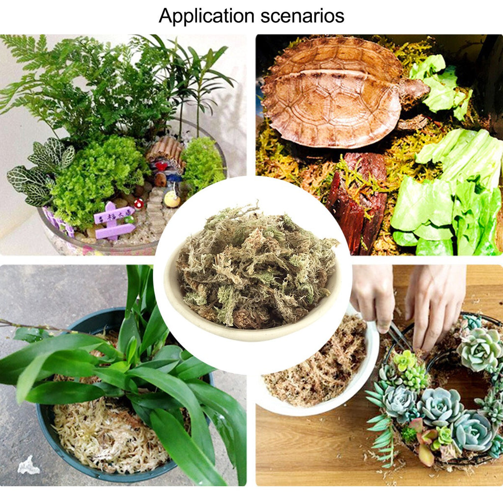 6/12L Garden Sphagnum Moss Dried Moisturizing Fertilizer Phalaenopsi Orchids