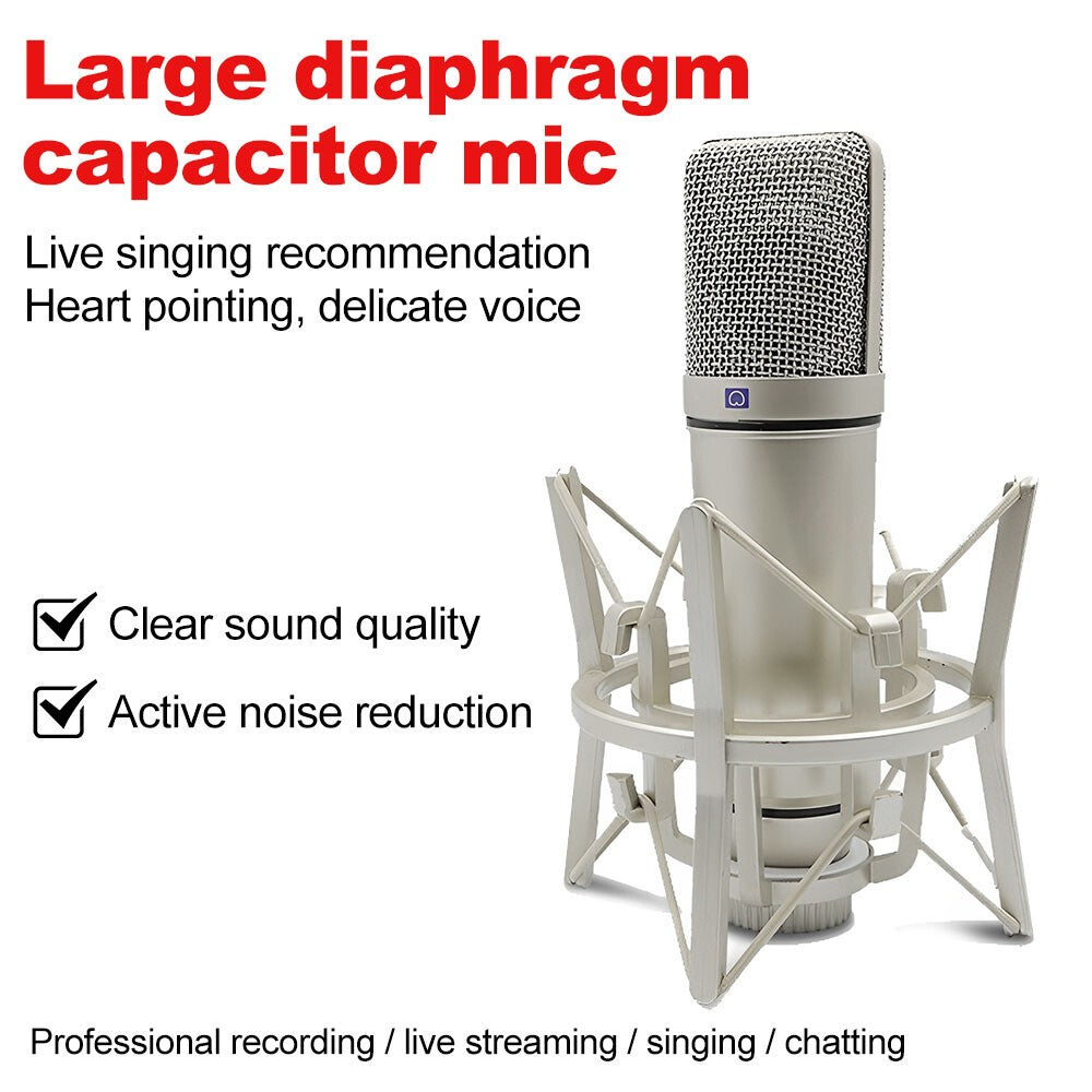 U87 Studio Condenser Microphone with Shock Mount Singing Recording Cardioid Mic