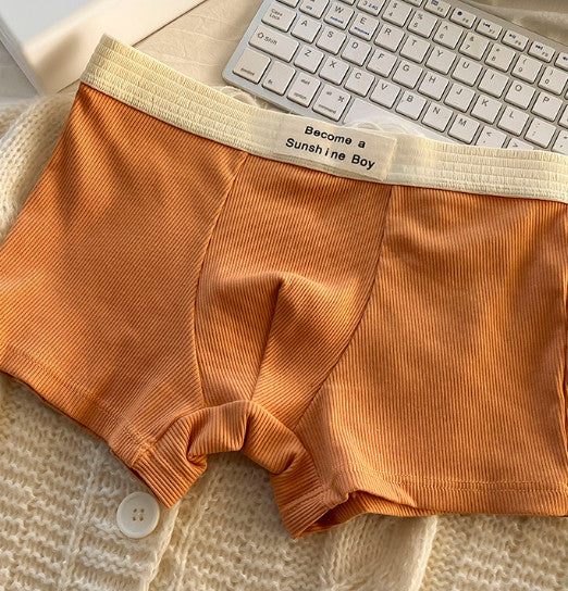 5Pcs Men's Plus-Size Ribbed Boxer Briefs Boxer Briefs Made