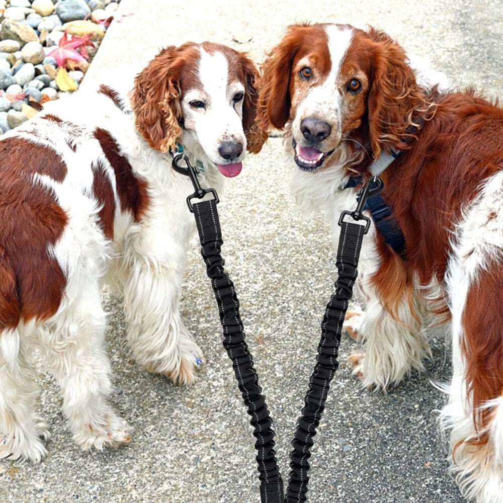 Double Dog Leash Dual Two Dog Lead Splitter No Tangle 2 Way Dogs Walking Leash