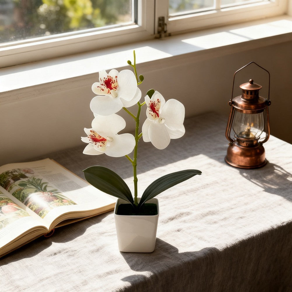 Artificial Phalaenopsis Orchid 5.5cm Wide 25cm Tall Plastic Potted Flower