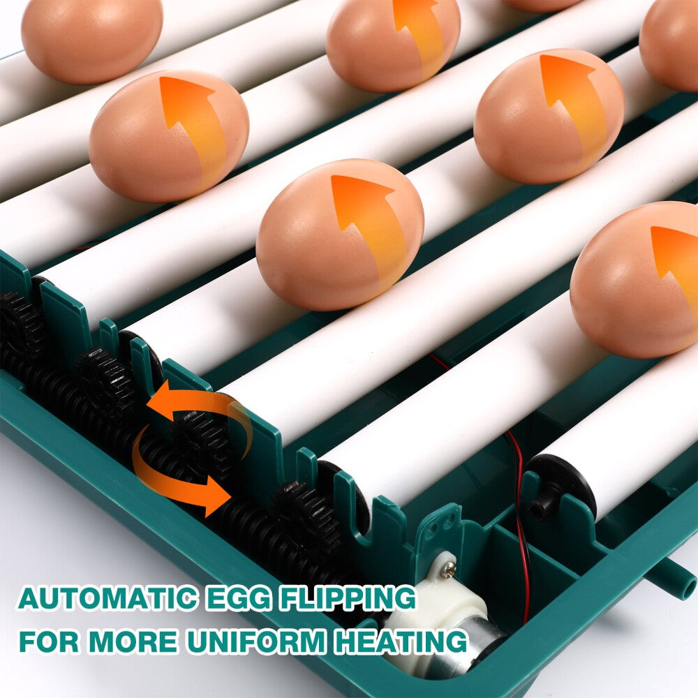 48 Egg Automatic Turning Incubator Chicken Duck Eggs Digital Hatching Machine