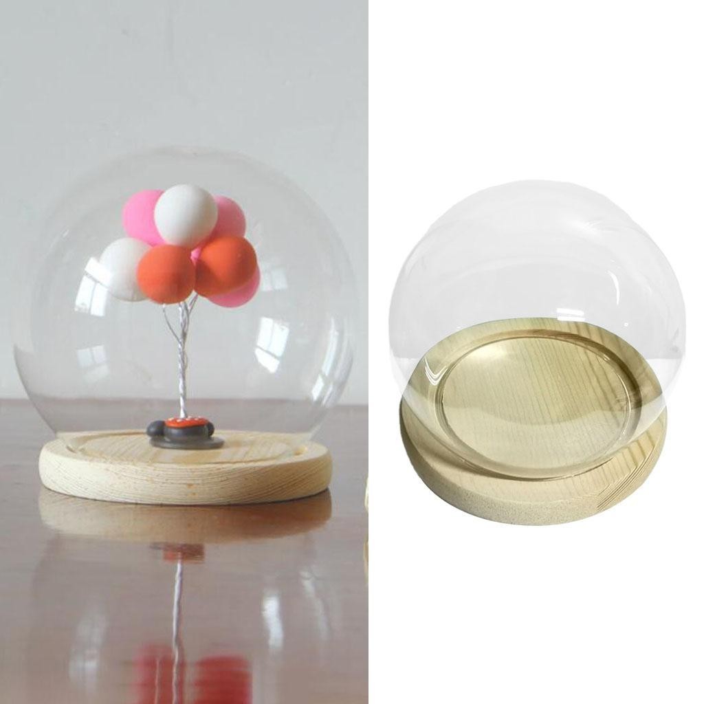 Round Glass Dome Cloche Terrarium Display Case with Wood Base DIY Decoration