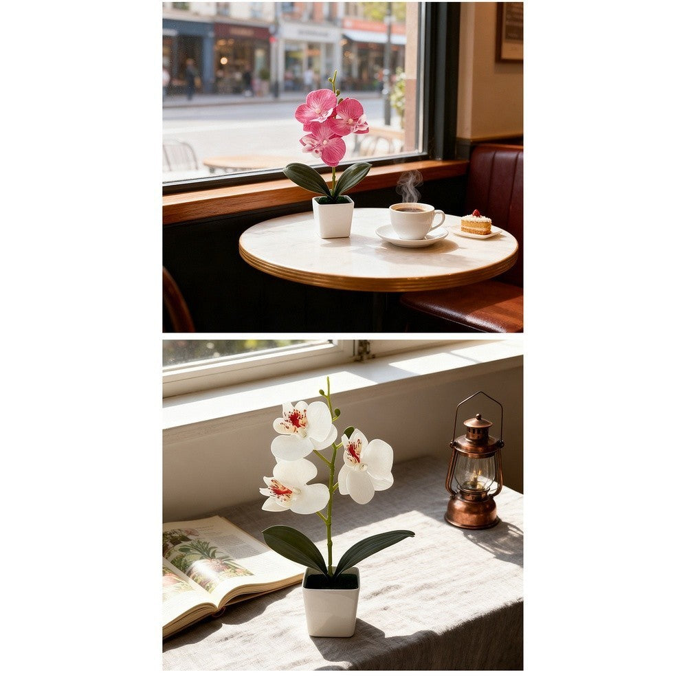 Artificial Phalaenopsis Orchid 5.5cm Wide 25cm Tall Plastic Potted Flower