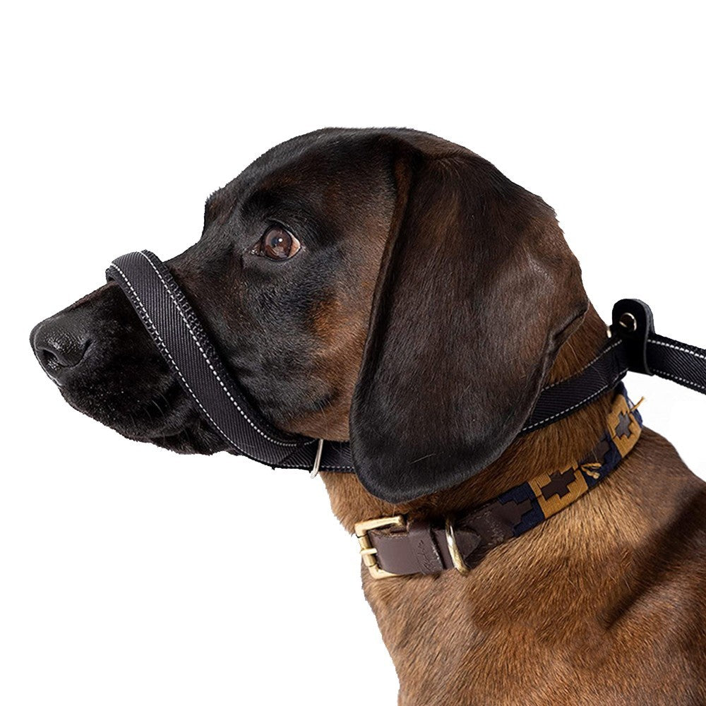180cm Figure of 8 Anti Pull Dog Lead Padded Nose Stop Pulling Training Slip Lead