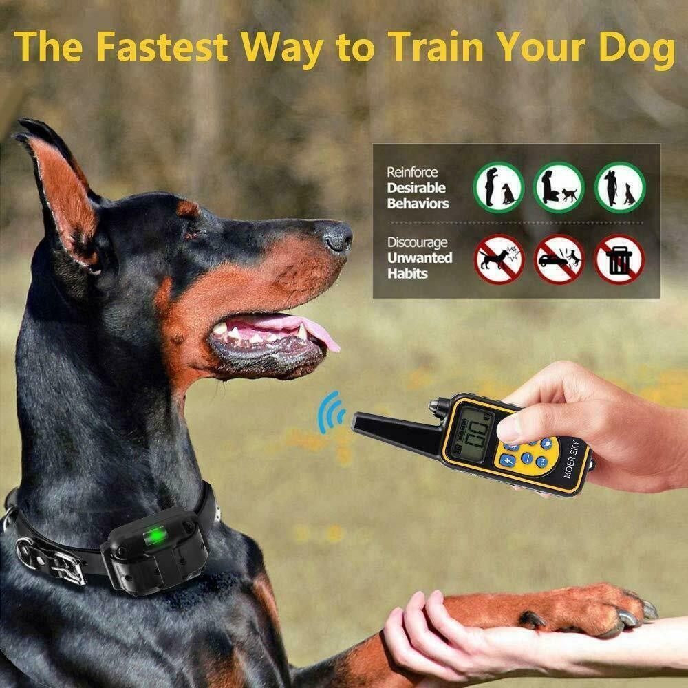 Electric Dog Training Collar Remote Control LCD 800M Anti Bark E Collar Pet