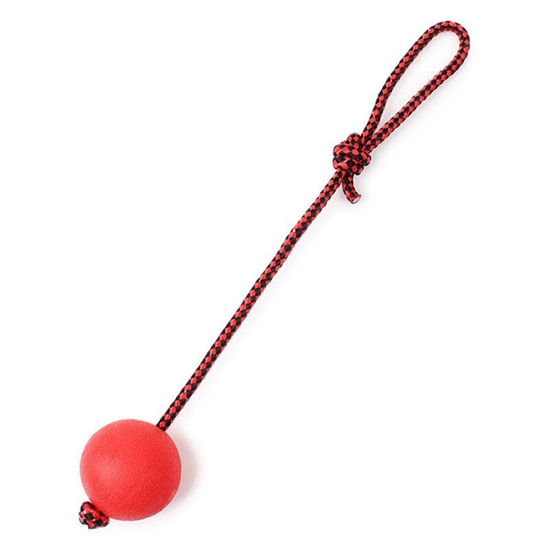 2x Indestructible Dog Ball on Rope Puppy Chew Toy Training Dog Theeth Cleaning