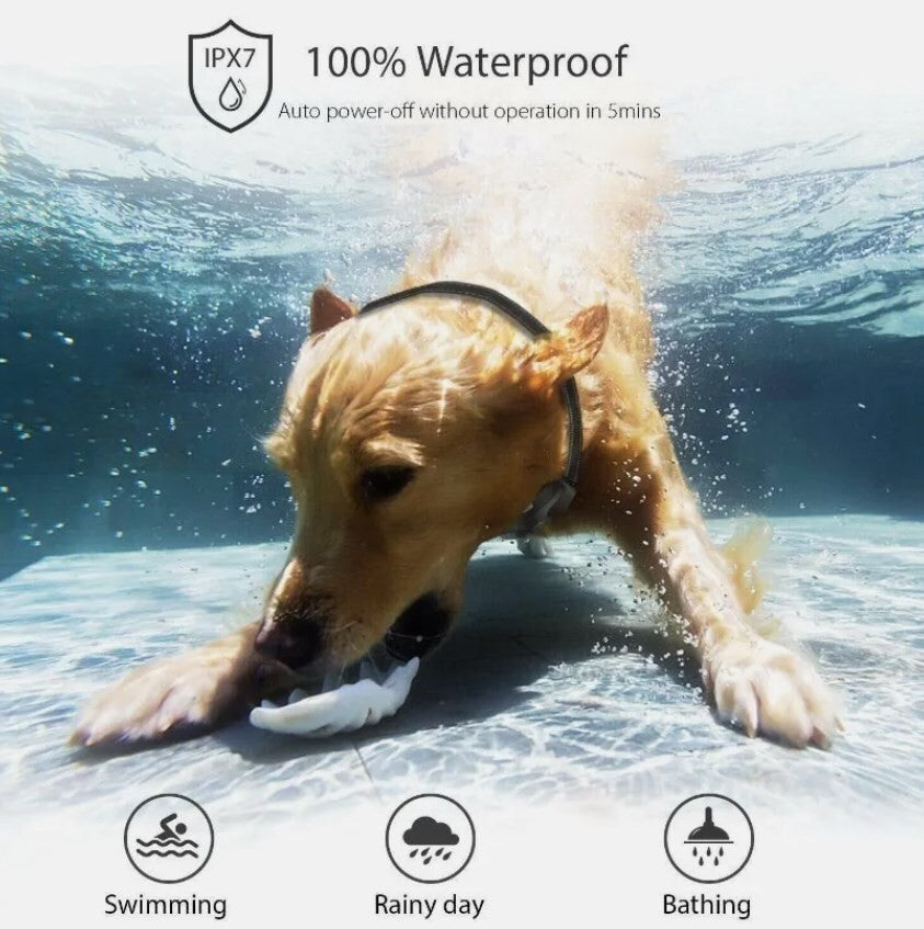 LCD Electric Pet Dog Training E-Collar Anti-Bark Obedience Remote Control 800M