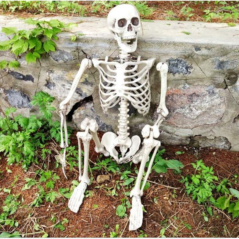90cm Halloween Poseable Skeleton Full Life Size Human Skeleton Decoration