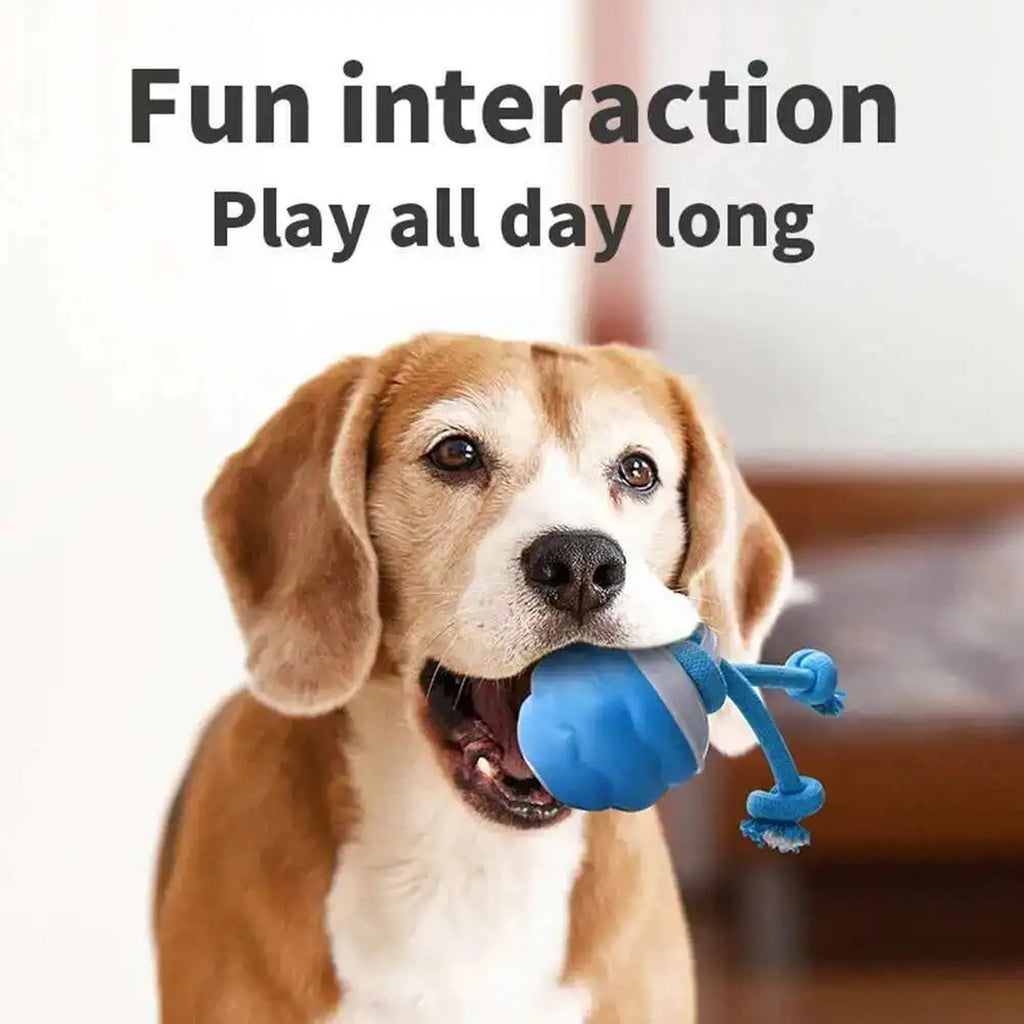Interactive Dog Toy Smart Rolling Ball Motion Activated Squeaky Puppy Chew Toy