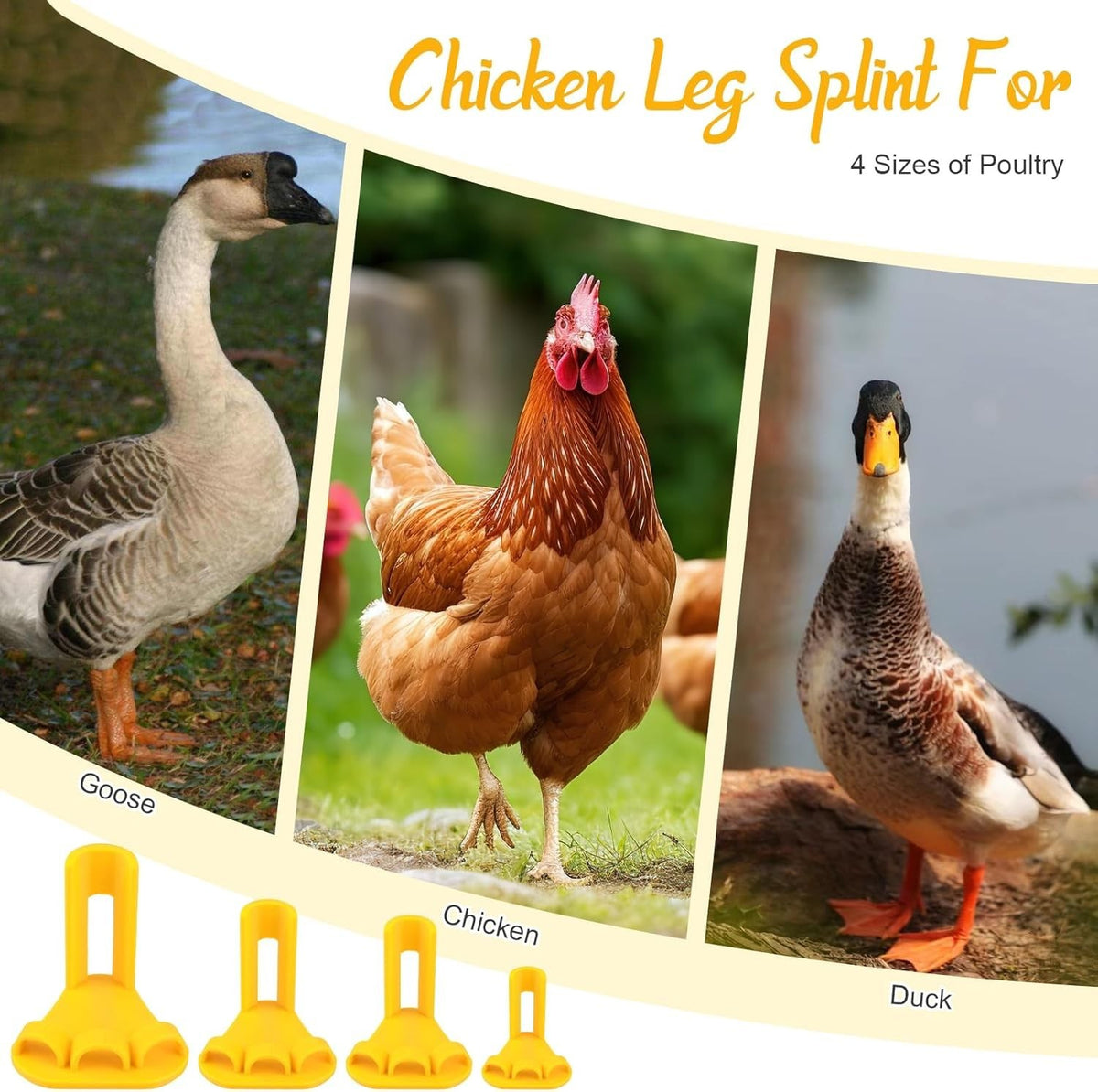 4-Piece Poultry Leg Splint Set with Holes- Professional Bumble Foot Treatment