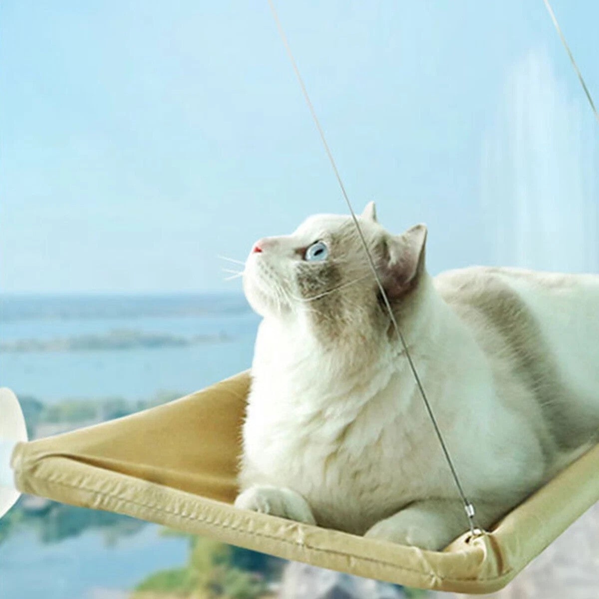 Pet Cat Window Hammock Space-Saving Window-Mounted Hanging Bed with Suction Cups