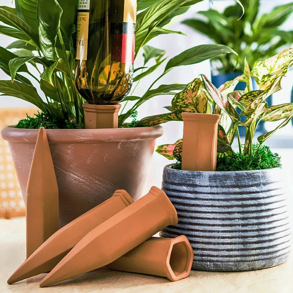 2-10Pcs Terracotta Plant Watering Stakes Automatic Self-Watering Garden Spikes