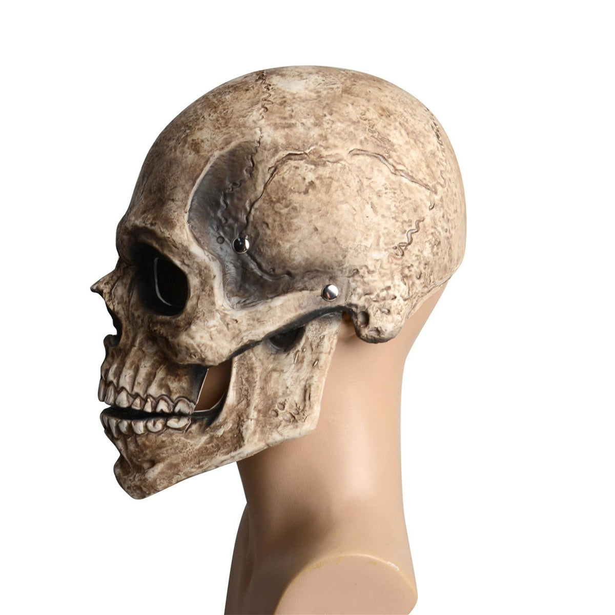 Skull Mask Full Face with Movable Mouth Realistic Head Mask for Adult Cosplay