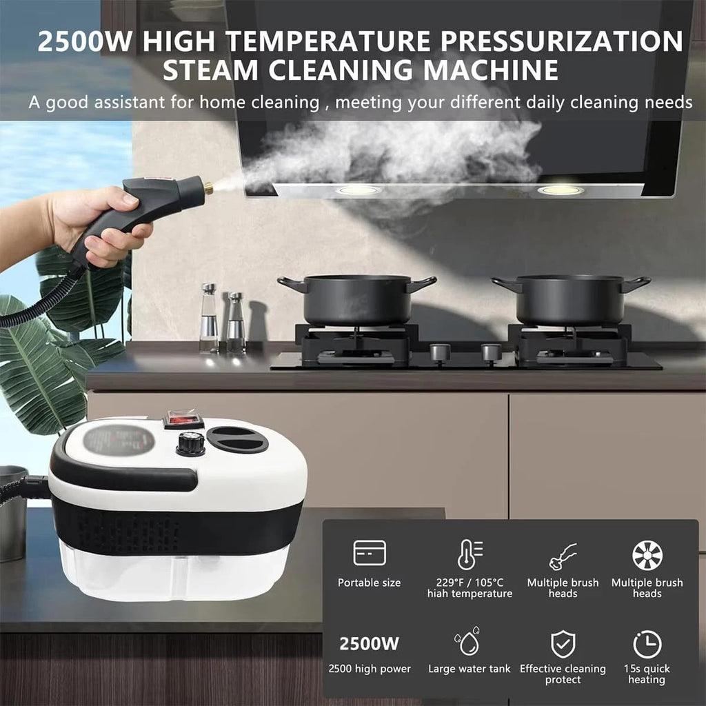 High Pressure Steam Cleaner Portable 2500W Cleaning Steamer Machine for Home Car