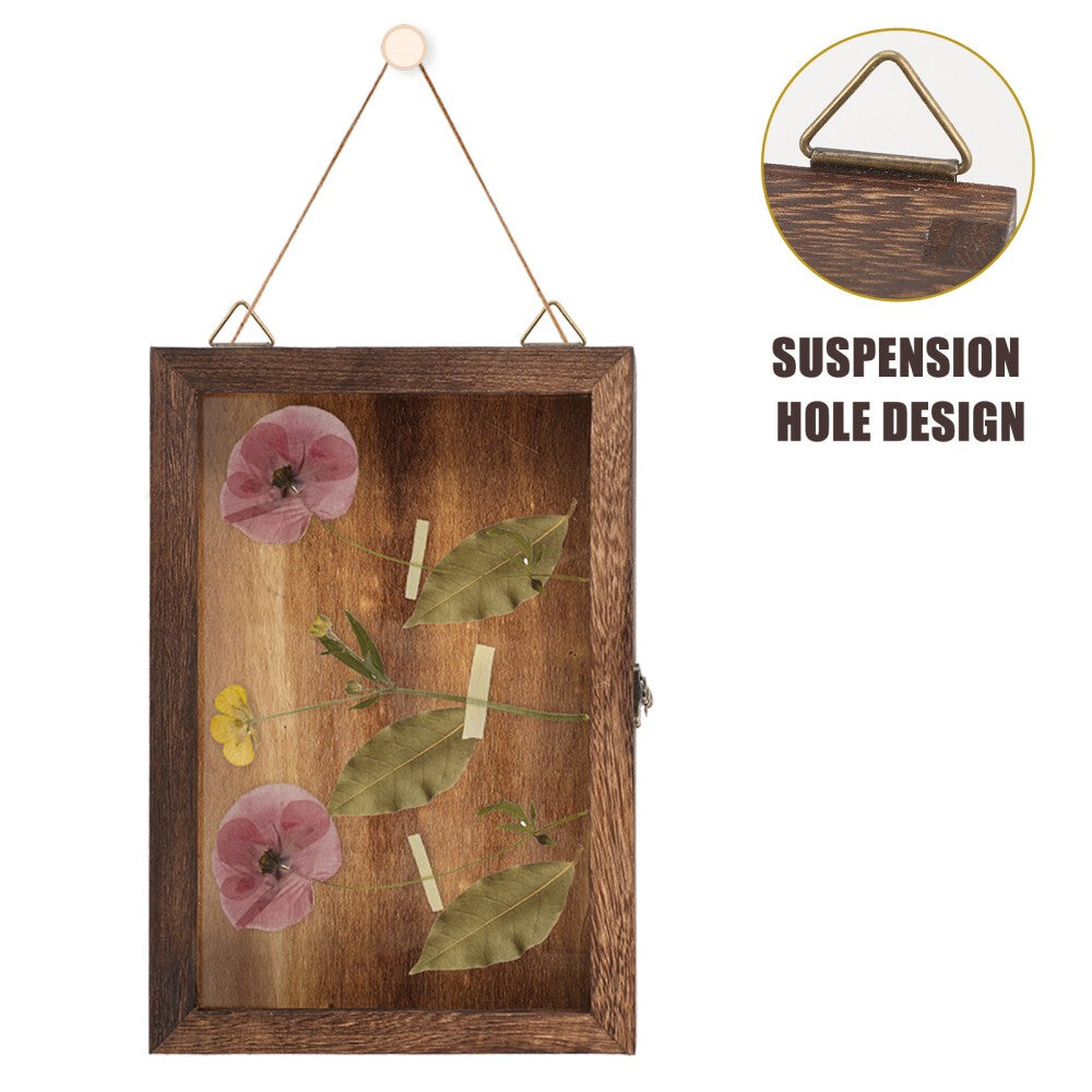 Wood Specimen Display Case Small Items Holder Versatile Jewelry Storage Box