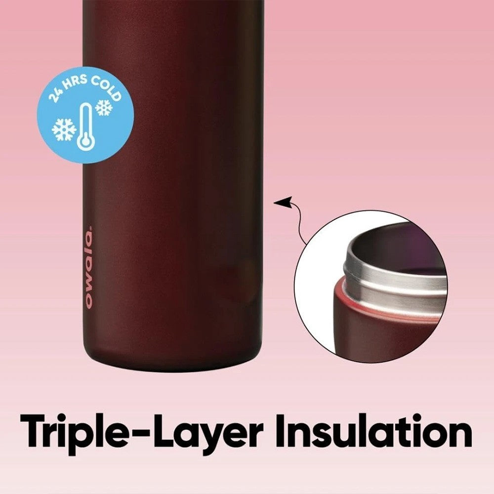 Owala Freesip 32ozInsulated Stainless Steel Water Bottle - Black Cherry