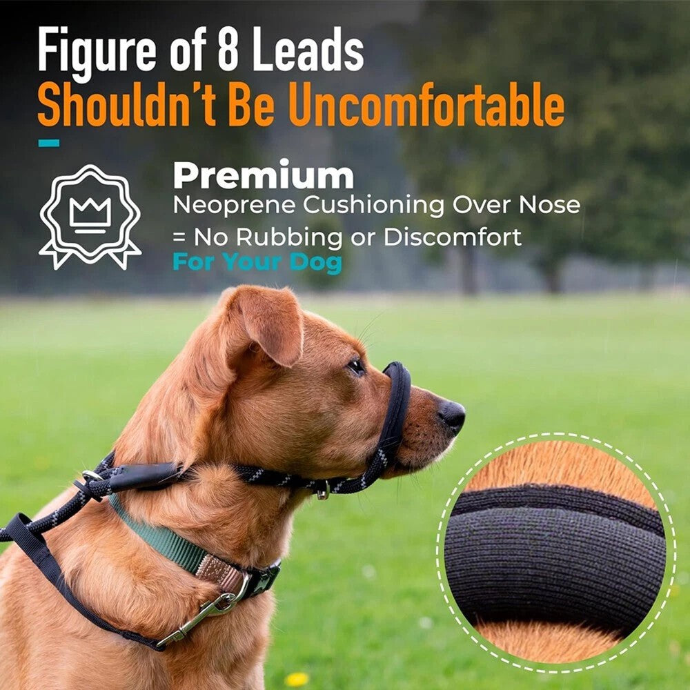 Figure of 8 Dog Lead With Padded Nose Loop-Anti Pull Dog Lead Stop Dog's Pulling