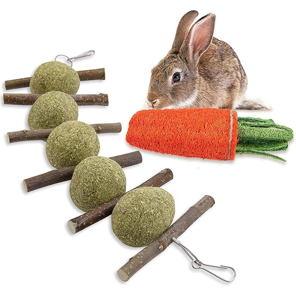 16Pcs Chew Toys Set for Small Animal Rabbit Teeth Care and Exercise Natural Wood