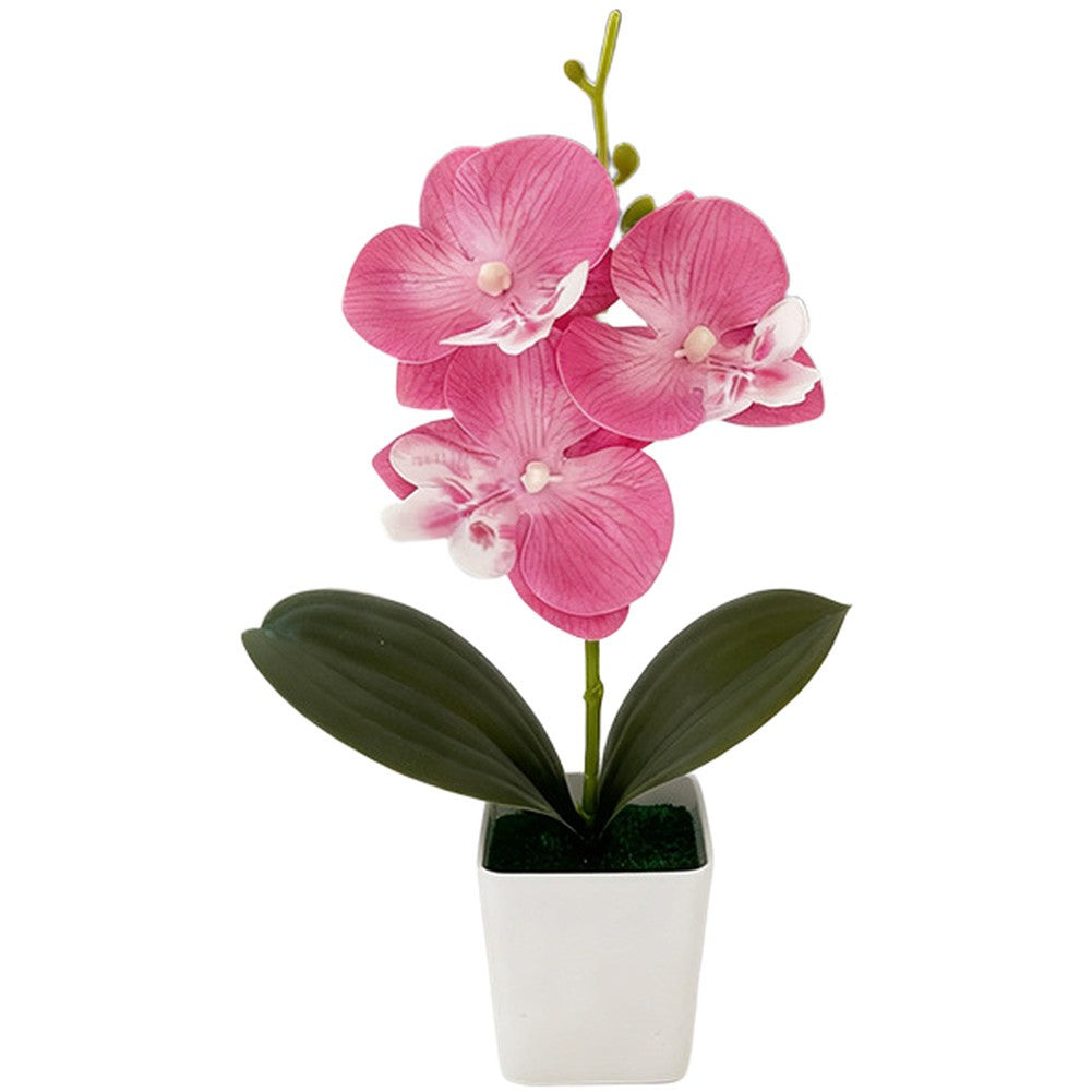 Artificial Phalaenopsis Orchid 5.5cm Wide 25cm Tall Plastic Potted Flower