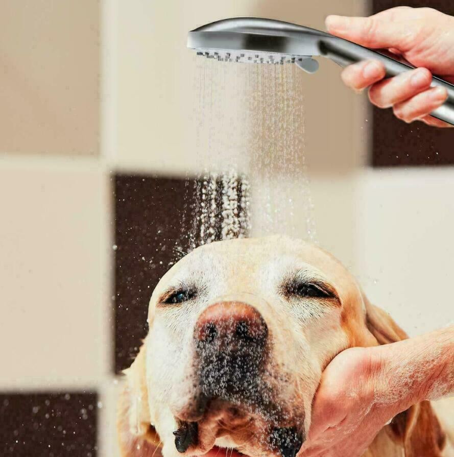 1x Shower Head Set Universal Multi Function Chrome Anti-Limescale Bath 1.5M Hose