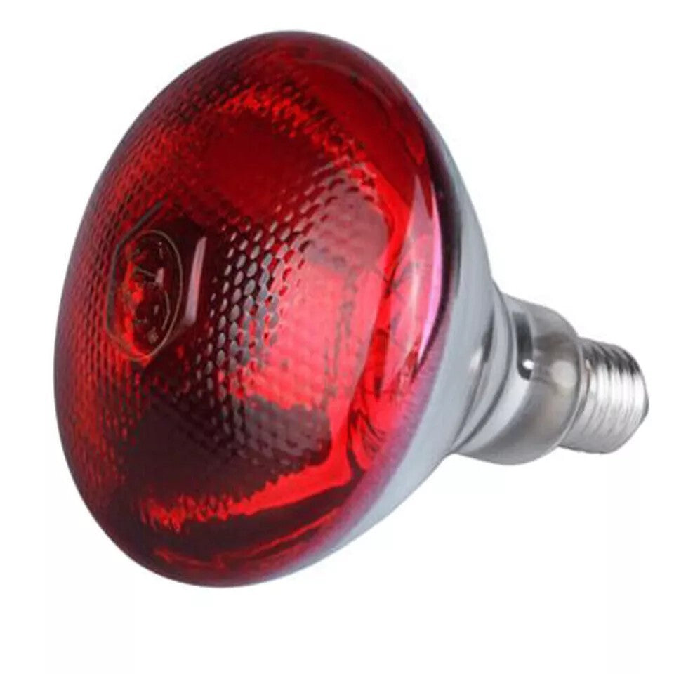 UK 250W Infra Red Ruby Heat Bulb Livestock Chick Brooder Heating Lamp 2 Pack