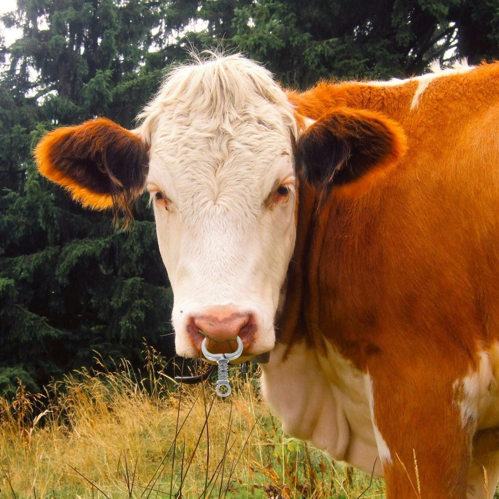 Livestock Traction Tool Decorative Cattle Nose Ring Cow Identification