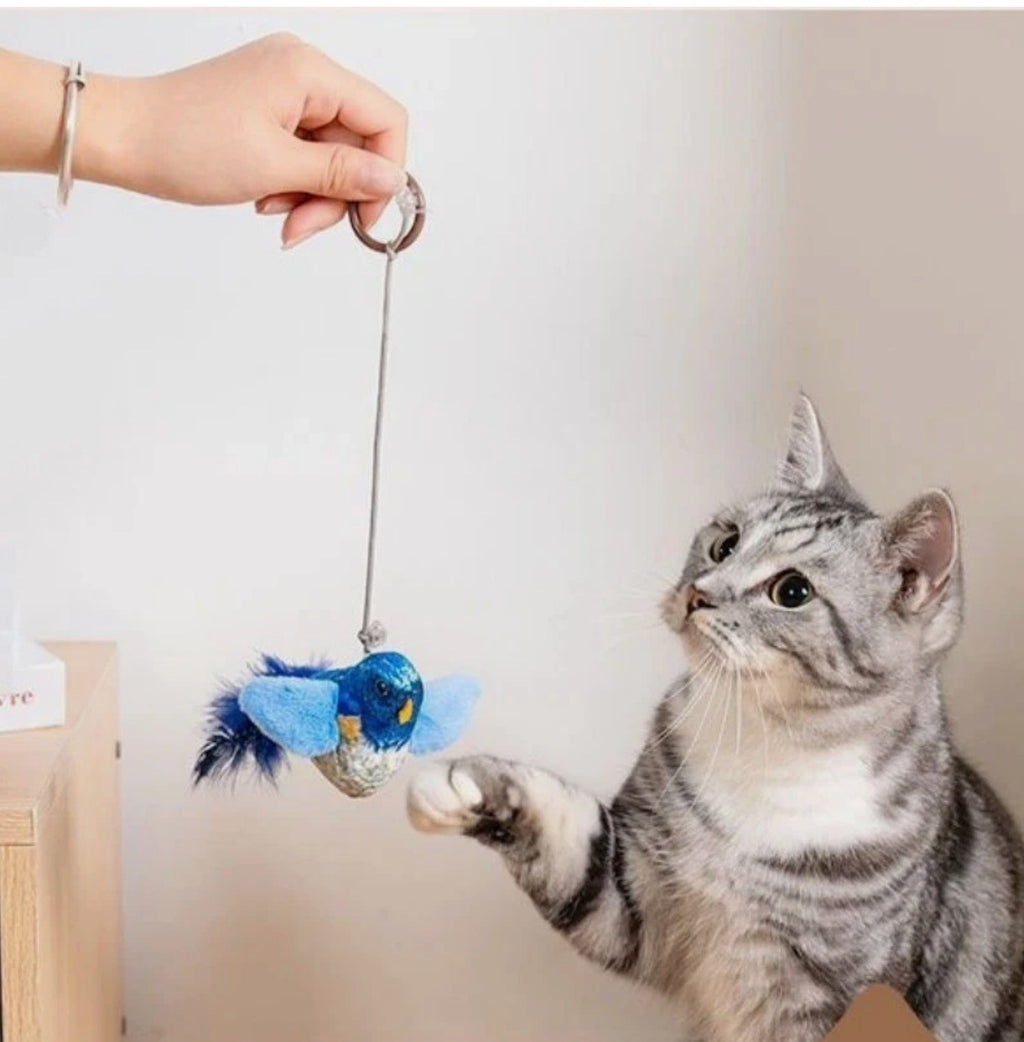 Interactive Hanging Bird Cat Toy – Catnip Teaser Toy with Sound Indoor Fun