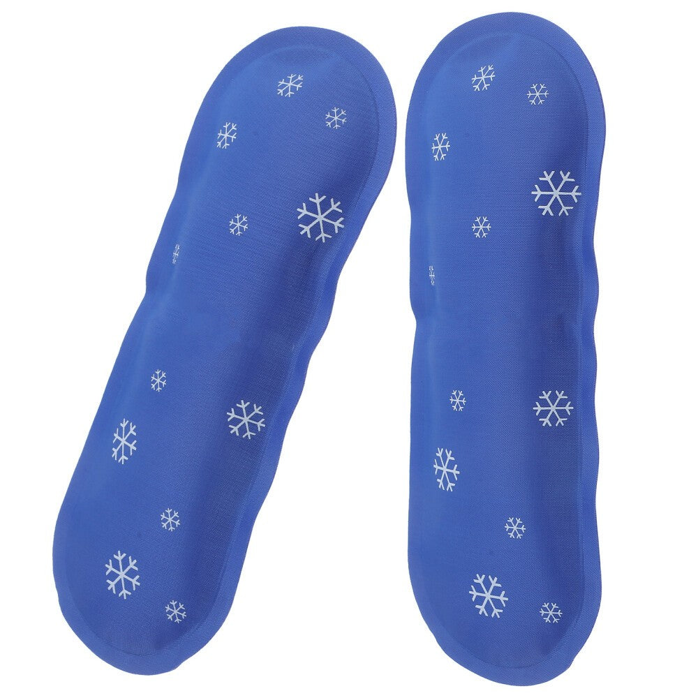2 Pcs Refrigerated Ice Pack Lengke Cooler Bags Insulated Travel