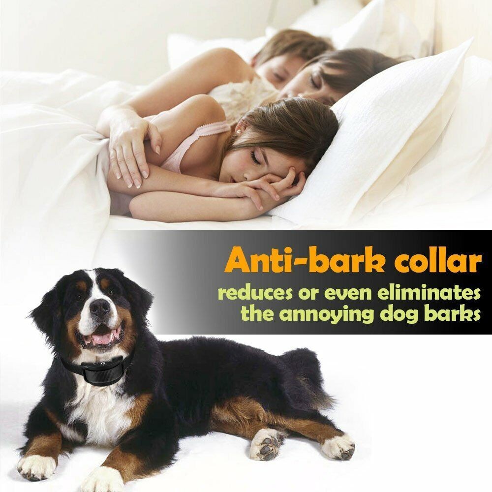 High quality Anti bark e-collar No Bark dog training shock collar for small dogs