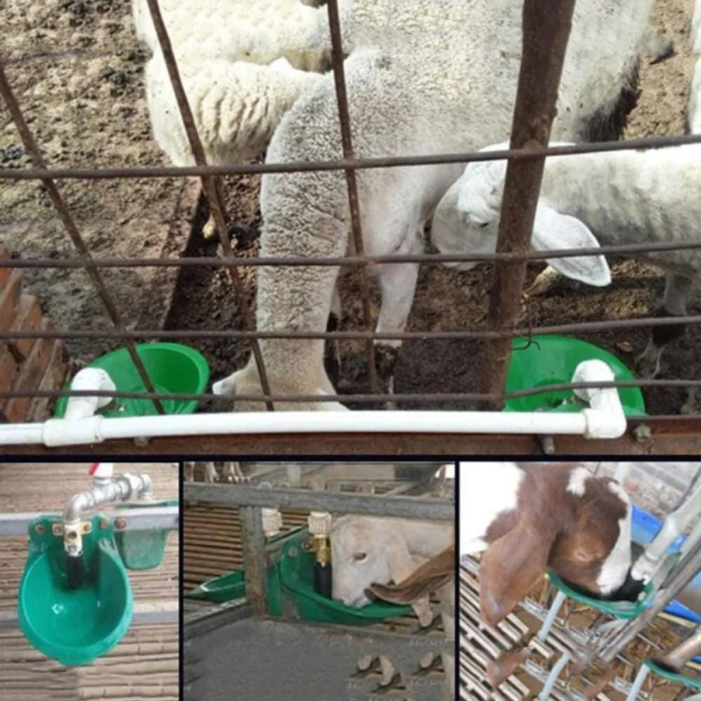 Farm Animal Automatic Water Drinking Bowl Cattle Horse Sheep Livestock