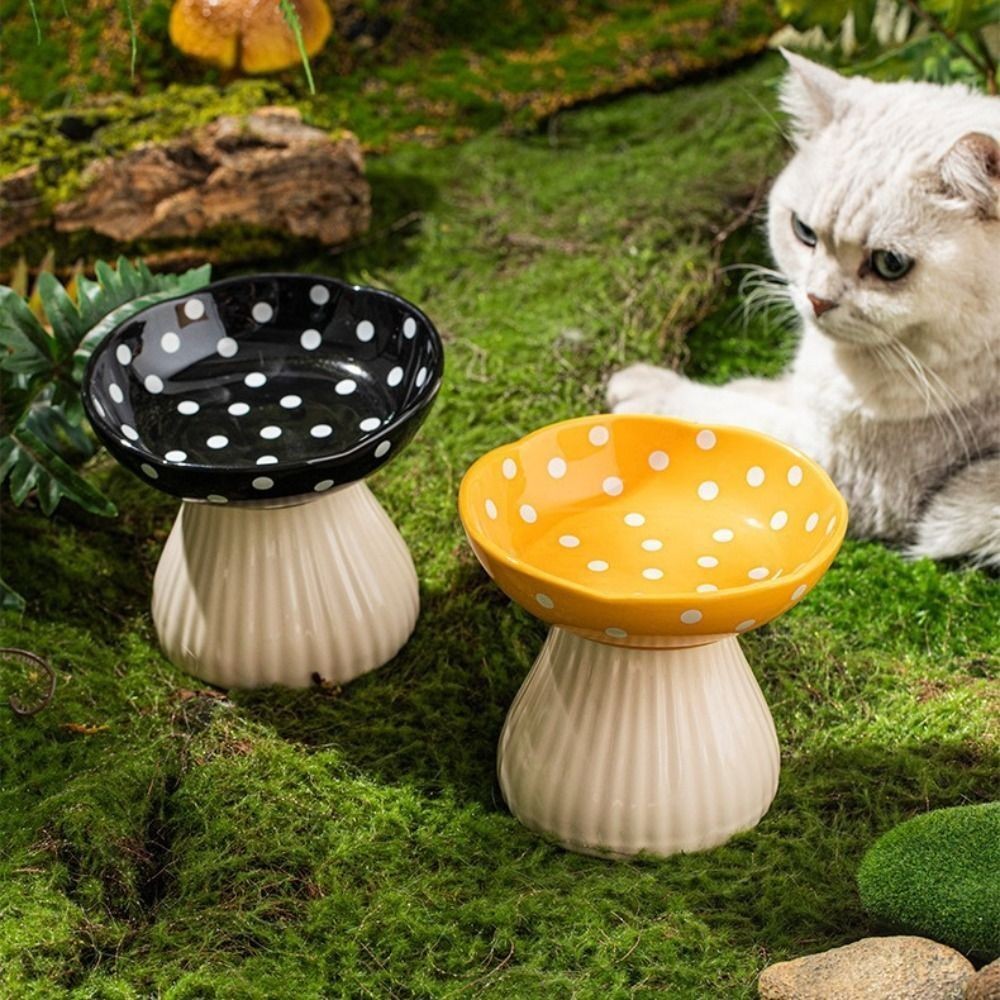 Cat Food Bowl Mushroom Cat Bowl Resin Elevated Shelf Beard Friendly Raised