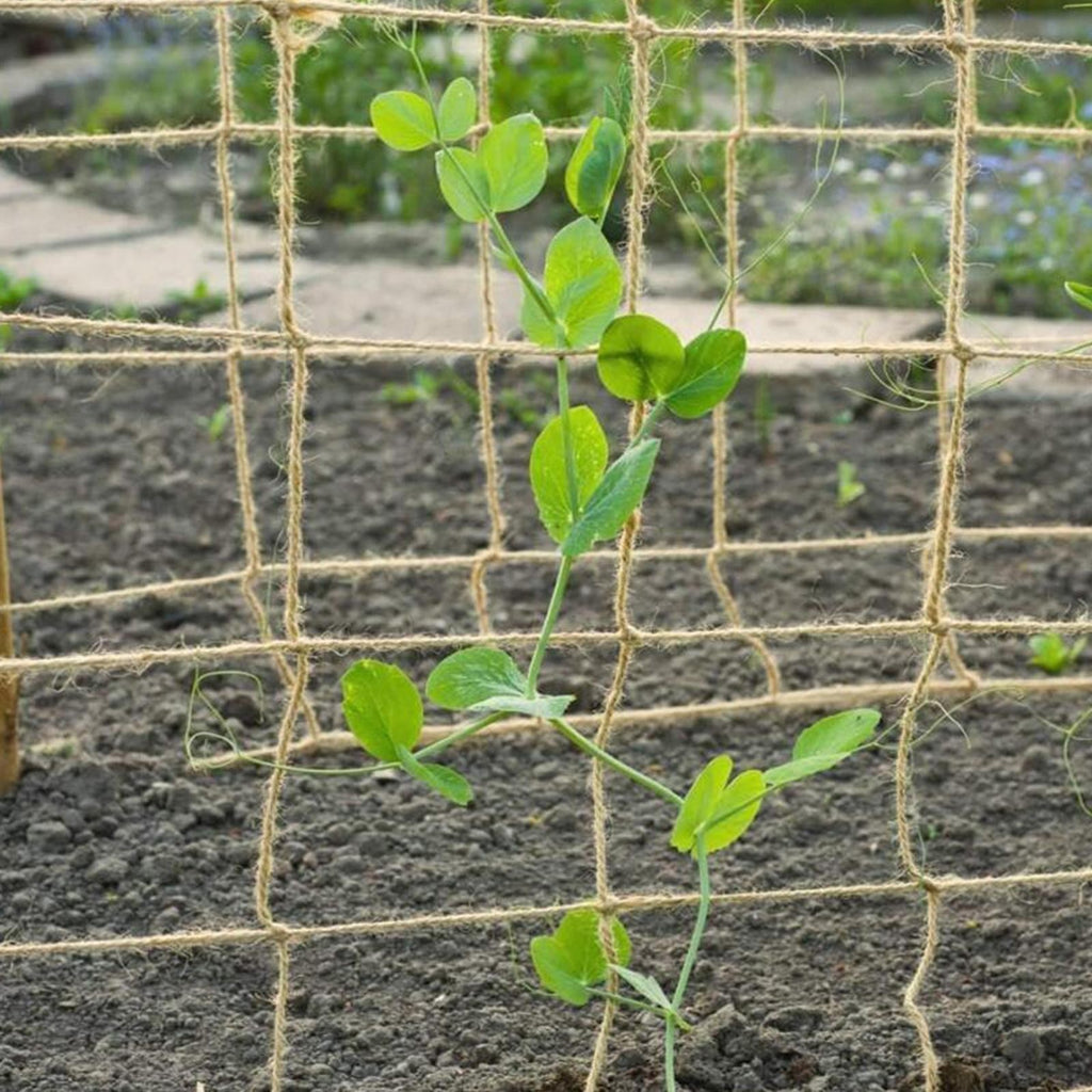 2x3 Meters Plant Support Netting 15x15cm Hole Sturdy Versatile Environmentally