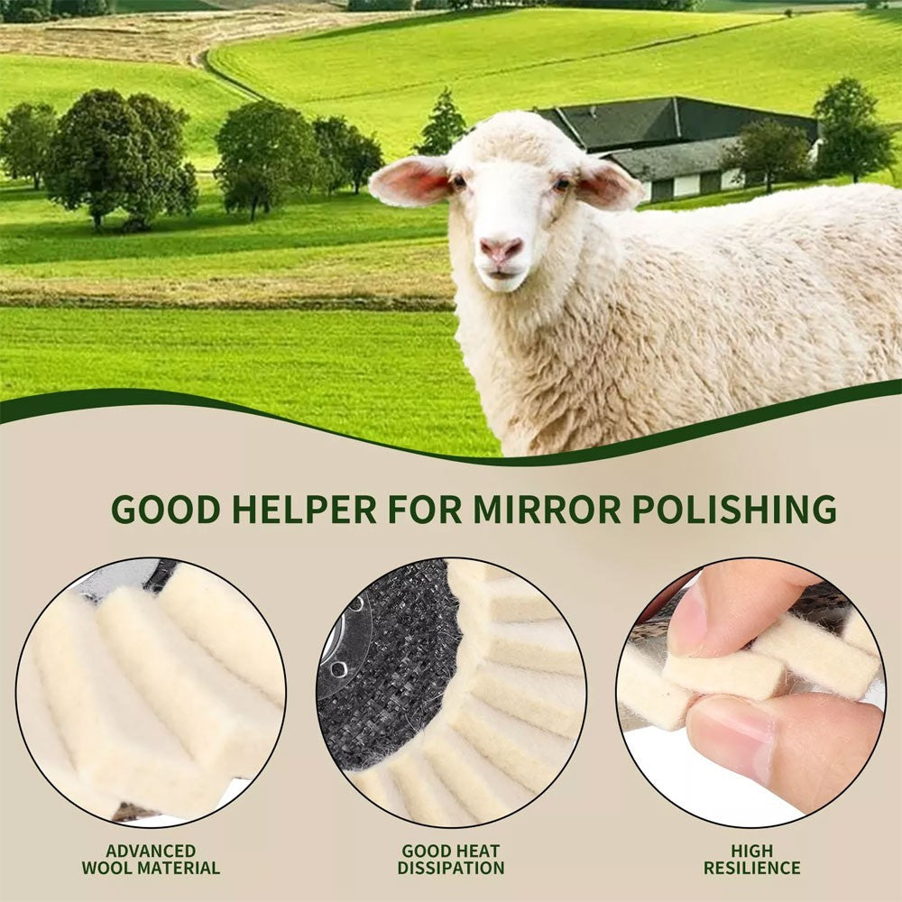 10PCS 125mm Wool Felt Flap Disc Polishing Wheel Angle Grinder Buffing Pad Metal