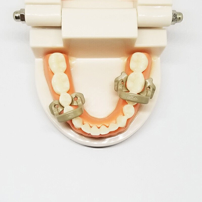 4x Dental Resin Kerr Soft Clamp Universal Rubber Dam Sheet Brown Molar Premolar