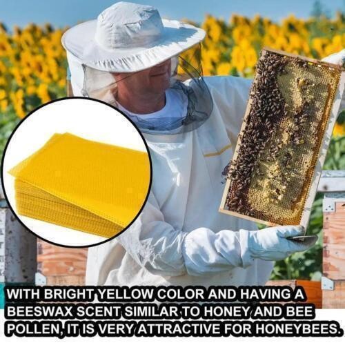 10/30 Pieces Beeswax Sheets Natural Honeycomb Bee Wax Foundation Sheets 13.3*9cm