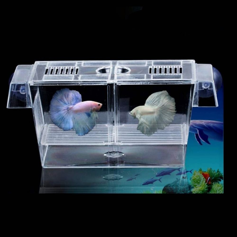1Pc Fish Isolation Box Acrylic Hatchery Fish Breeding Box Aquarium Breeder Box