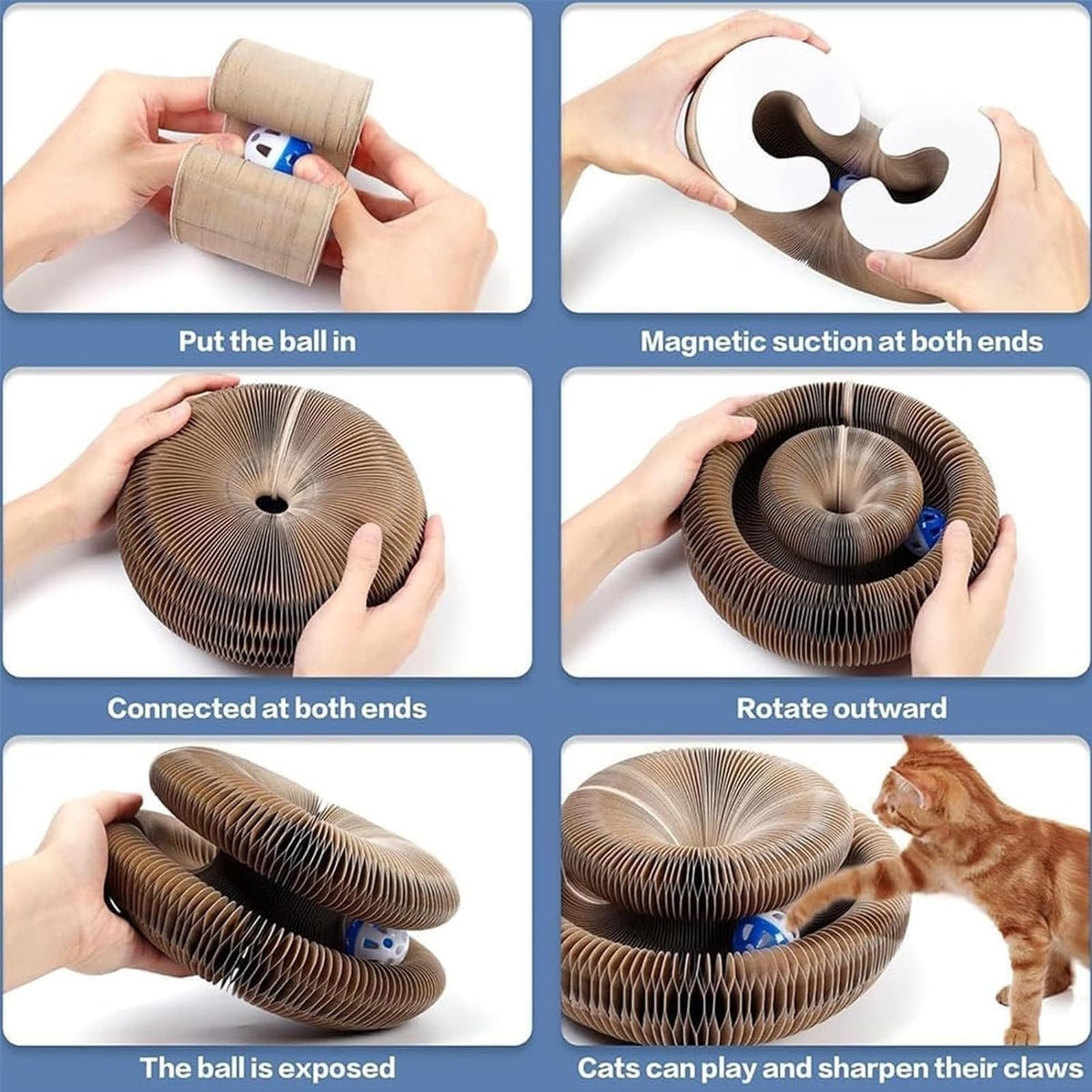 Marlene Kitty Kurlz, Kitty Kurlz Cat Toy, Kitty Curls Cat Toy, Magic Organ Cat