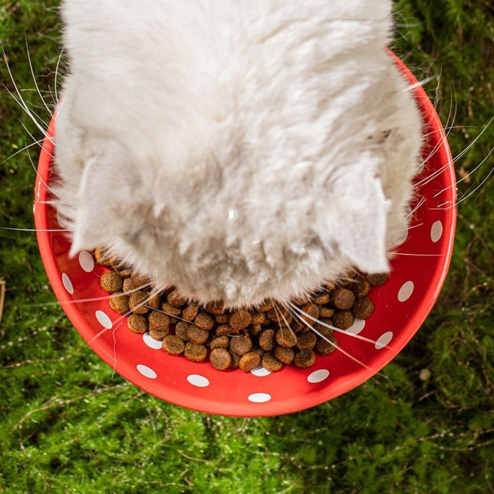 Mushroom Cat Bowl Resin Elevated Shelf, Beard Friendly Raised Cat Food Bowl