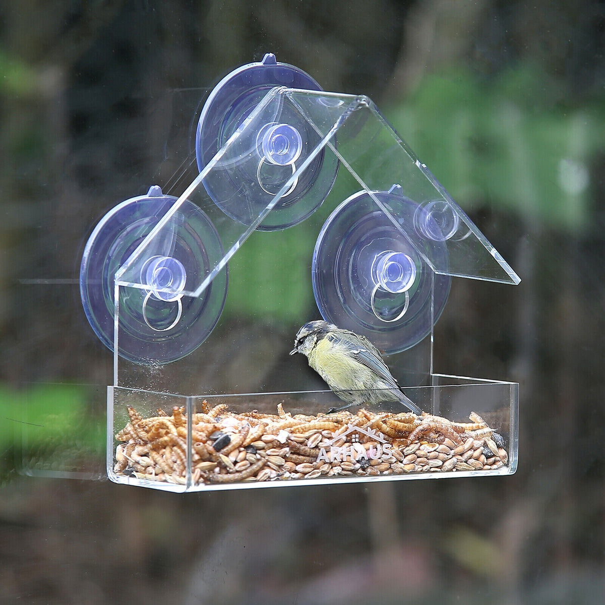 2 Glass Window Bird Feeder Stations Seed Mealworm Suction Cups Clear Perspex