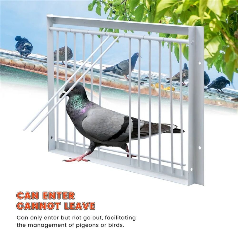 One Way Pigeon Loft Trap Door 30/40x26cm Removable Entrance Gate For Bird Cage