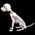 Halloween Scary Skeleton Dog Prop Animal Bones Party Shop Decoration Horror